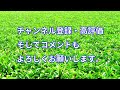 ビュースポットやまぐちにもなっている西日本最大級の広さの藤河内茶園の絶景をドローンの映像と共に紹介します。