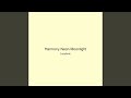 Harmony Neon Moonlight