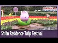 Taipei Shilin Residence Tulip Show till Feb. 28