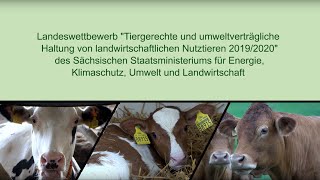 Wettbewerb Tiergerechte Haltung 2019/2020 in Sachsen – Sieger in der Kategorie Rindermast