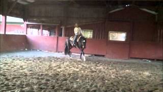 SOLD - 2001 Gelding - This Majors A Gentleman - Western Video