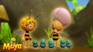 Is This the End? - Maya the Bee🐝🍯🐝 - FULL COMPILATION