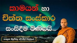 කාමයන් හා චිත්ත සංස්කාර සංසිදීම පිණිසයි    Hasalaka Seelawimala Thero