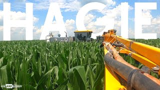 HAGIE DTS10 - Spraying tall corn!