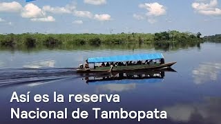 La Reserva Nacional de Tambopata - Noticias con Karla Iberia