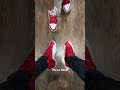 his or hers 🤔let us know in the comments👇🏽 sneakers shoes challenge couples footwear