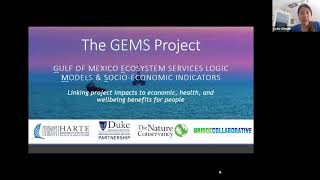 GEMS Metrics Webinar: Monitoring