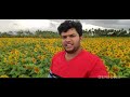 sun flower field thenkasi തെങ്കാശിയിലെ സൂര്യകാന്തി തോട്ടം