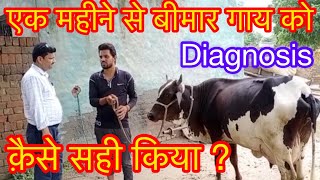 Chronic case of trypanosomiasis l symptoms , treatment l सुर्रा बीमारी का इलाज , l dr umar khan