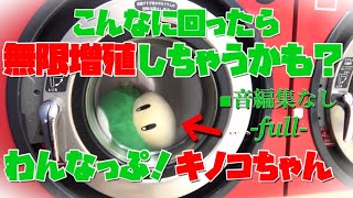 ♬回る回る〜1UPキノコちゃん×コインランドリー coin laundry 洗濯乾燥機Washing and drying machine ■音編集なし-natural-