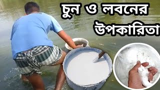 শতাংশে কতটুকু চুন ও লবন দিবেন| চুন দেওয়ার সঠিক নিয়ম|How much lime and salt will be given in percent