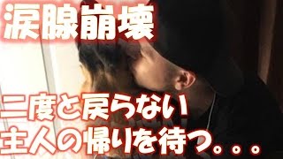 二度と戻らない主人の帰りを待ち続ける犬の物語。。。 【感動する話】【涙腺崩壊】 相互登録