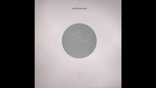 Luke Vibert - A Polished Solid (Full EP)