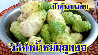 วิธีทำน้ำหมักลูกยอ | น้ำสมุนไพร | ป้าอุ๊พาเพลิน