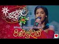 Windy 🎄 Pinimuwan (පිණිමුවන්) | Naththal Tharuwa