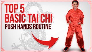 Top 5 Basic Tai Chi Exercises -  Push Hands Routine Private Lesson