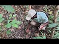 Urban forest at Vizag using Akira Miyawaki technique