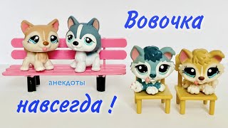 LPS / ВОВОЧКА НАВСЕГДА ! ( сборник лучших анекдотов )