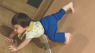 自らトレーニングし始める１歳児👦🏻　＃Shorts