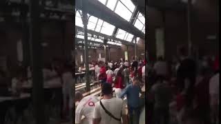 Poland Fans attacked Senegal Fans after the game | Russia 2018