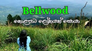 Bellwood සොයා ගිය සුන්දර චාරිකාව / oneday trip #travel