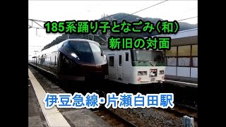 185系特急踊り子と「なごみ(和)」の行違い【伊豆急行・片瀬白田駅】