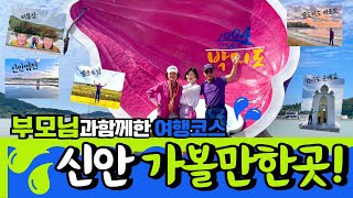 부모님과 함께한 2박3일 여행코스‼️ 신안 가볼만한곳 추천 (퍼플섬, 맨드라미축제, 섬티아고, 12순례길, 신안염전, 엘도라도 리조트, 대기점 민박 등)