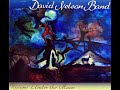 David Nelson Band : Visions Under the Moon (1999) (03-Fable Of A Chosen One)