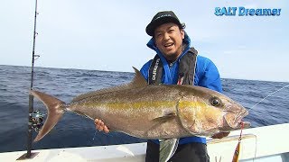 SALT Dreamer#074 鹿児島県種子島 カンパチ ジギング