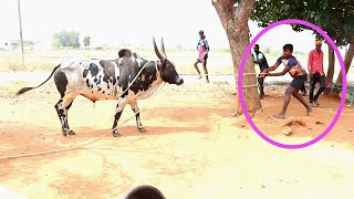 இராவணன் வீட்டில் இருந்த அன்பு ||கொடூரமா இருக்க ||jallikkattu