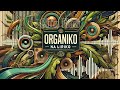 Organiko Na Liriko - Chin Flow ( Visualizer Video )