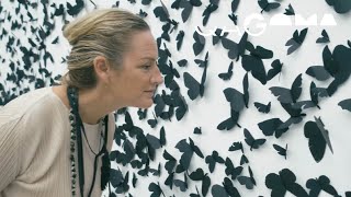 Why are the butterflies black?/ A Curator's Perspective