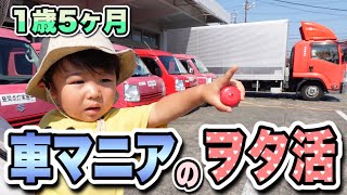 【はたらくくるま】1歳の車マニアの日常。郵便車｜クロネコヤマト｜クール宅急便｜トミカ