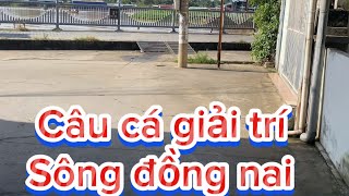 câu cá giải trí trên sông đồng nai