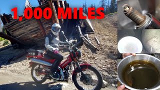 143cc Big Bore CT125 Update!