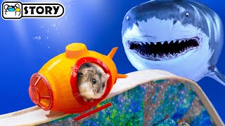 Hamster Escapes the Underwater Roller Coaster in the Pool Maze 🐹 Homura Ham Pets