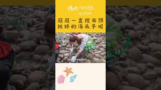 海瓜子 石頭 傻傻分不清楚～庭庭：啊我怎麽都挖不到～～｜媽呀！好好玩 #shorts