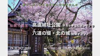 桜開花宣言 高遠城址公園・六道の堤（長野県伊那市）30MAR2023