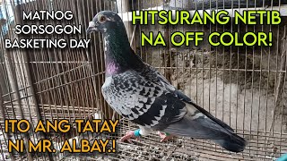 MUKANG NETIB NA OFF COLOR ITONG TATAY NI ALBAY? | MATNOG SORSOGON BASKETING DAY!