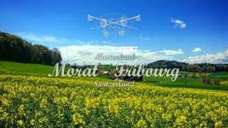 Murtenlauf - complete course (Morat - Fribourg)