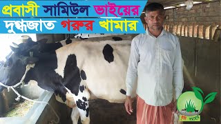 21-প্রবাসী সামিদুল ভাইয়ের দুগ্ধজাত গরুর খামারের সফলতার গল্প