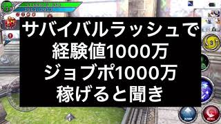 【アヴァベル 】サバイバルラッシュ経験値