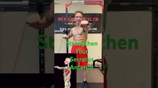 The Best Serratus Anterior Exercises (and Why You Need Them)