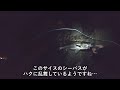 コモモⅡ65でハクボイルシーバス狙ってみたら…【2023年4月9日】