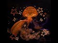 Jellyfish Playlist