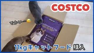 [ コストコ購入品 ] 特大11kgキャットフードを開けて猫達にあげてみた😺