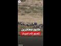 صور لطابور طويل من المهاجرين على الحدود بين المكسيك وأميركا