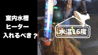 [メダカ　飼育]ヒーターを入れようか悩む動画