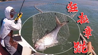 What is the feeling of Zhang Tiao kuang pulling, 100 yuan a catty fish in a row, fishing is too cool