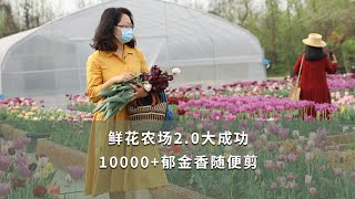 【海媽造園故事01】鮮花農場2.0大成功，10000+鬱金香隨便剪| Flower Farm 2.0 of Tulips This Spring